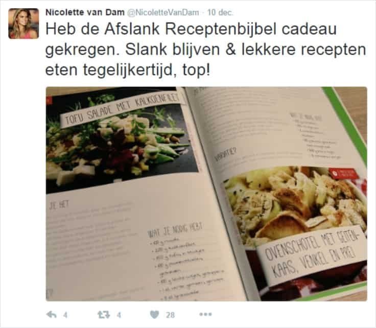 Afslank Receptenbijbel Review Nicolette van Dam