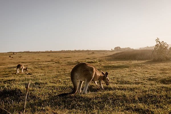 australie