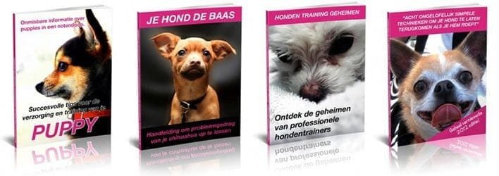 Peter Plasman bonussen