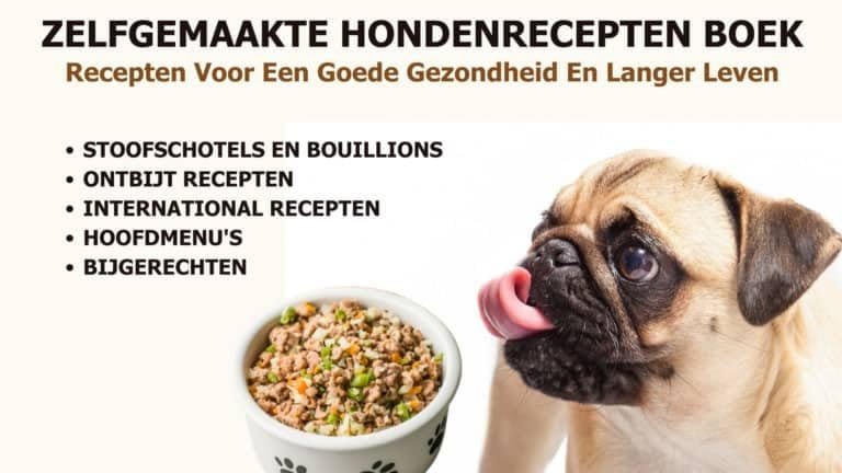 zelfgemaakte hondenrecepten